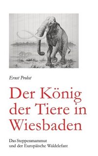 bokomslag Der König der Tiere in Wiesbaden: Das Steppenmammut und der Europäische Waldelefant