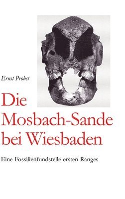 Die Mosbach-Sande bei Wiesbaden 1