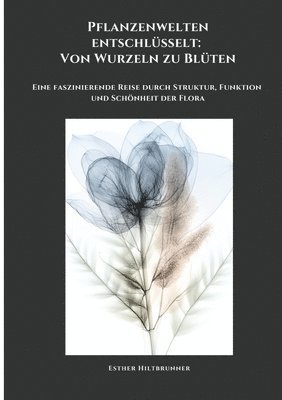 bokomslag Pflanzenwelten entschlüsselt: Von Wurzeln zu Blüten: Eine faszinierende Reise durch Struktur, Funktion und Schönheit der Flora