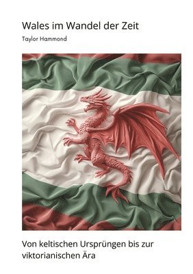 bokomslag Wales im Wandel der Zeit