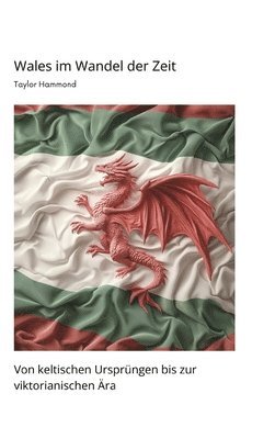 bokomslag Wales im Wandel der Zeit