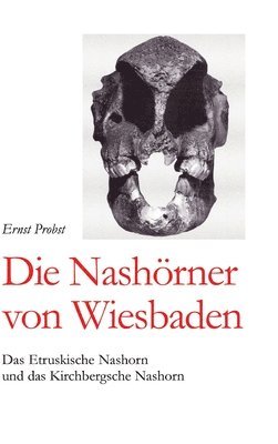 Die Nashörner von Wiesbaden: Das Etruskische Nashorn und das Kirchbergsche Nashorn 1