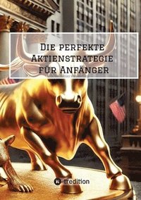bokomslag perfekte Aktienstrategie für Anfänger