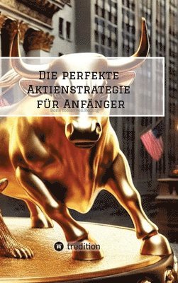 bokomslag perfekte Aktienstrategie für Anfänger