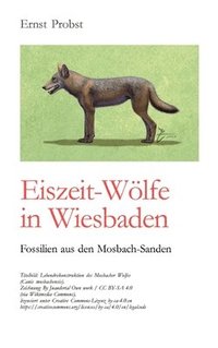 bokomslag Eiszeit-Wölfe in Wiesbaden: Fossilien aus den Mosbach-Sanden