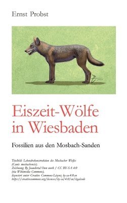 Eiszeit-Wölfe in Wiesbaden: Fossilien aus den Mosbach-Sanden 1