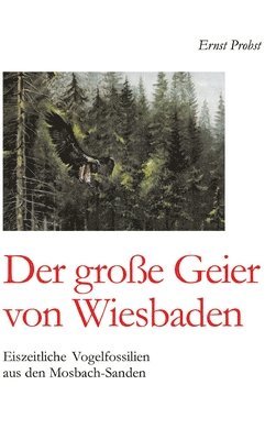 bokomslag Der große Geier von Wiesbaden: Eiszeitliche Vogelfossilien aus den Mosbach-Sanden