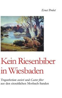 bokomslag Kein Riesenbiber in Wiesbaden: Trogontherium cuvieri und Castor fiber aus den eiszeitlichen Mosbach-Sanden