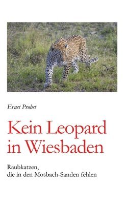 Kein Leopard in Wiesbaden 1