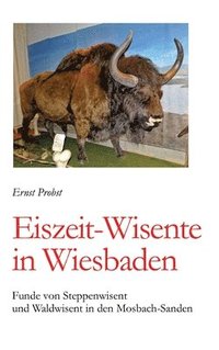 bokomslag Eiszeit-Wisente in Wiesbaden: Funde von Steppenwisent und Waldwisent in den Mosbach-Sanden