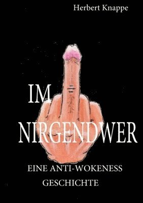 bokomslag Im Nirgendwer: Eine Anti-Wokeness-Geschichte