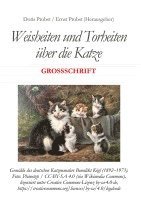 bokomslag Weisheiten und Torheiten über die Katze:Großschrift