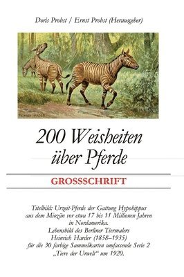 bokomslag 200 Weisheiten über Pferde: Großschrift