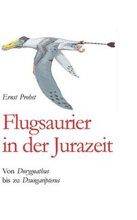 bokomslag Flugsaurier in der Jurazeit: Von Dorygnathus bis zu Dsungaripterus