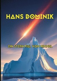 bokomslag Ein Stern fiel vom Himmel