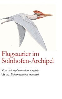 bokomslag Flugsaurier im Solnhofen-Archipel