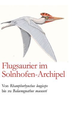 Flugsaurier im Solnhofen-Archipel 1