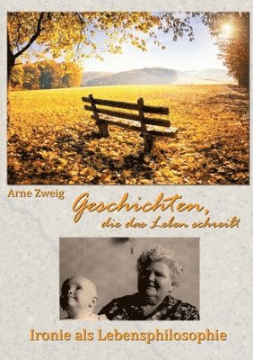 bokomslag Geschichten, die das Leben schreibt