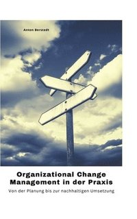 bokomslag Organizational Change Management in der Praxis
