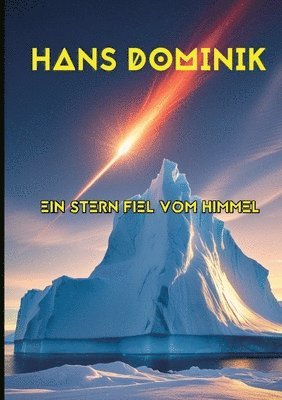 bokomslag Stern fiel vom Himmel