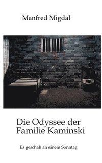 bokomslag Odyssee der Familie Kaminski