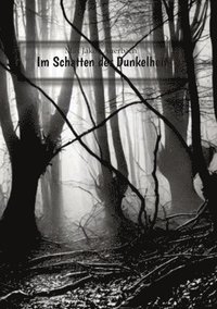 bokomslag Im Schatten der Dunkelheit: Ein grausames Spiel zwischen Schuld, Wahnsinn und übernatürlichen Grauen