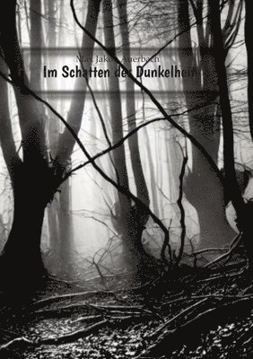 bokomslag Im Schatten der Dunkelheit: Ein grausames Spiel zwischen Schuld, Wahnsinn und übernatürlichen Grauen