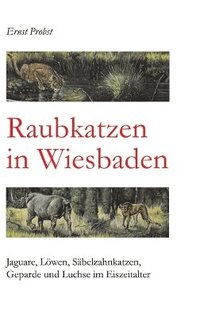 bokomslag Raubkatzen in Wiesbaden