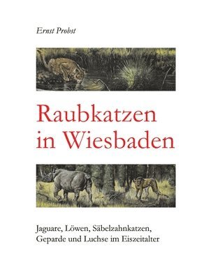 bokomslag Raubkatzen in Wiesbaden