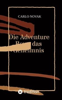 bokomslag Die Adventure Boys das Geheimnis des Wasserfals 1