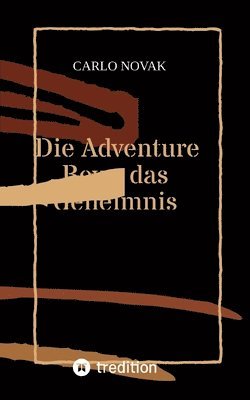 bokomslag Die Adventure Boys das Geheimnis des Wasserfals 1