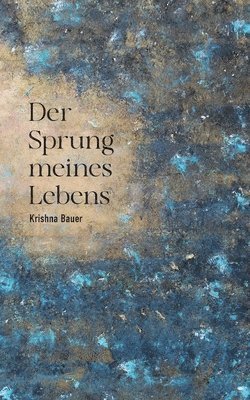 bokomslag Der Sprung meines Lebens