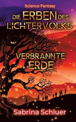 bokomslag Erben des Lichtervolks