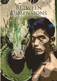 bokomslag Between Dimensions