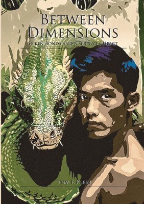 bokomslag Between Dimensions