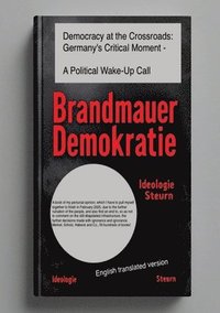 bokomslag Democracy at Crossroads