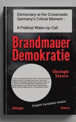 bokomslag Democracy at Crossroads