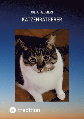 bokomslag Katzenratgeber