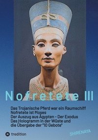 bokomslag Nofretete / Nefertiti / Echnaton: Das Trojanische Pferd war ein Raumschiff / Nofretete ist Moses / Auszug aus Ägypten / Das Hologramm in der Wüste