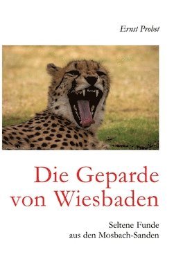 bokomslag Die Geparde von Wiesbaden: Seltene Funde aus den Mosbach-Sanden