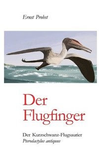 bokomslag Der Flugfinger