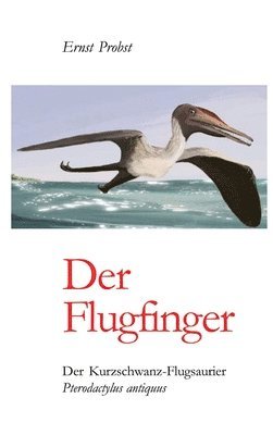 bokomslag Der Flugfinger