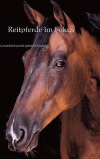 bokomslag Reitpferde im Fokus