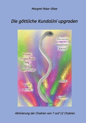 bokomslag göttliche Kundalini upgraden