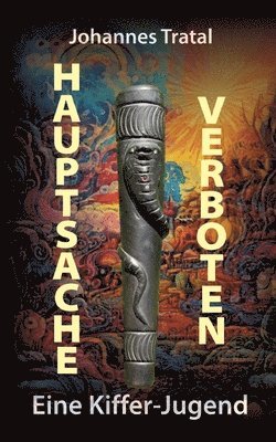 bokomslag Hauptsache verboten