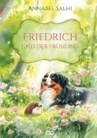 bokomslag Friedrich und der Frühling