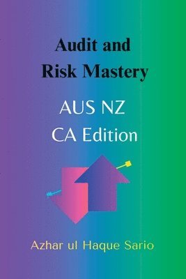 bokomslag Audit and Risk Mastery