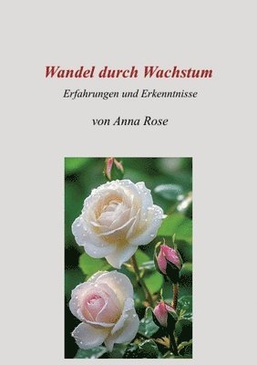 bokomslag Wandel durch Wachstum