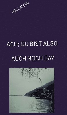 Hellstern - Ach; Du Bist Also Auch Noch Da?, Inbunden
