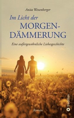 bokomslag Im Licht der Morgendämmerung
